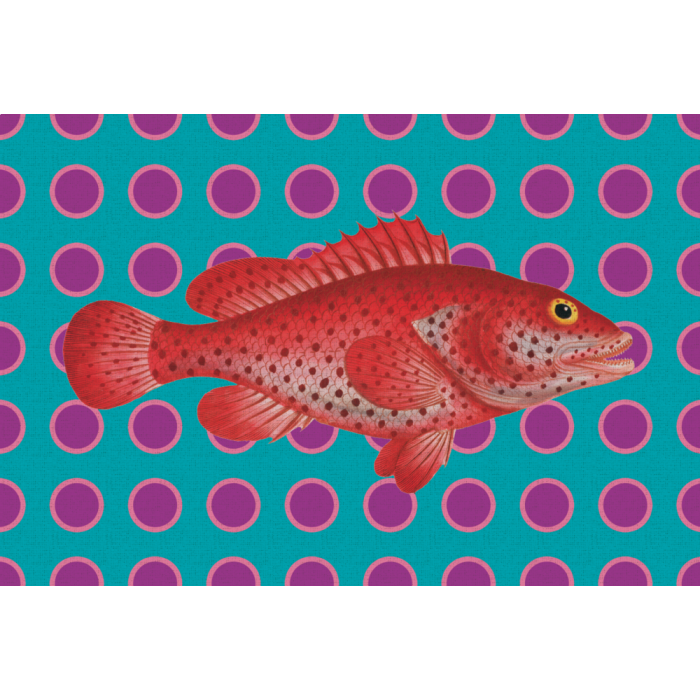 Tovaglietta All'Americana Plastica Pesce Rosso 44x30 cm - immagine 1