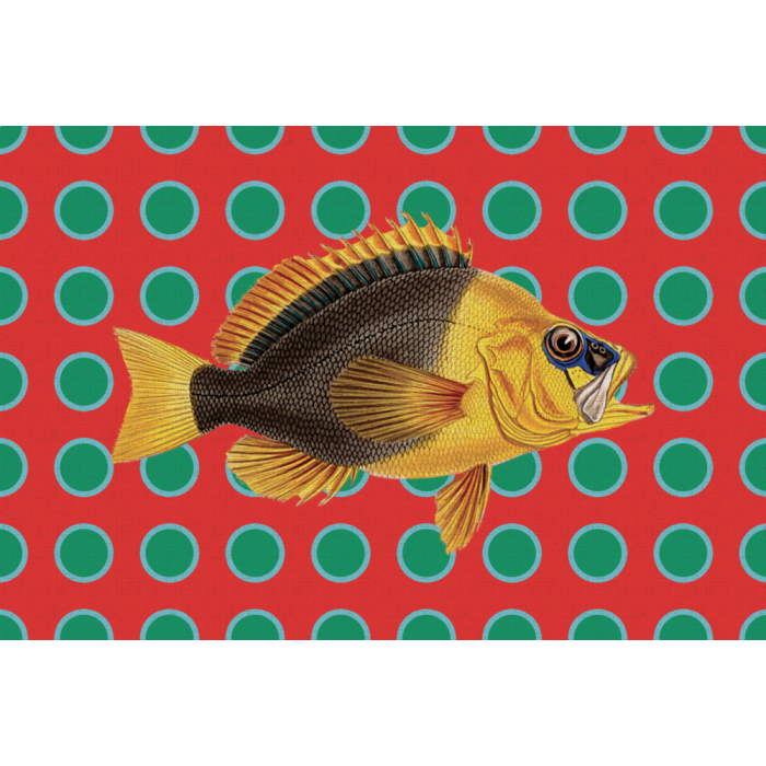 Tovaglietta Americana in Plastica Pesce Giallo 44x30 cm - immagine 1