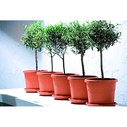 VASO ALGARVE CILINDRO WHEELS 48CM COLORE A SCELTA