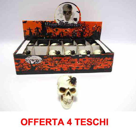 OFFERTA 4 TESCHI CON RAGNO DI HALLOWEEN