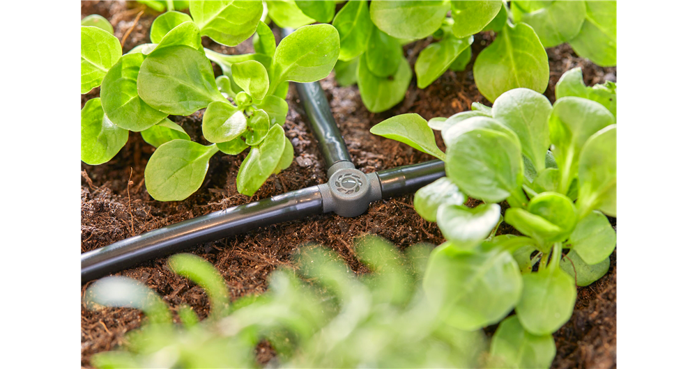 RACCORDO A T 4,6 MM 4,6 MM - (3/16)