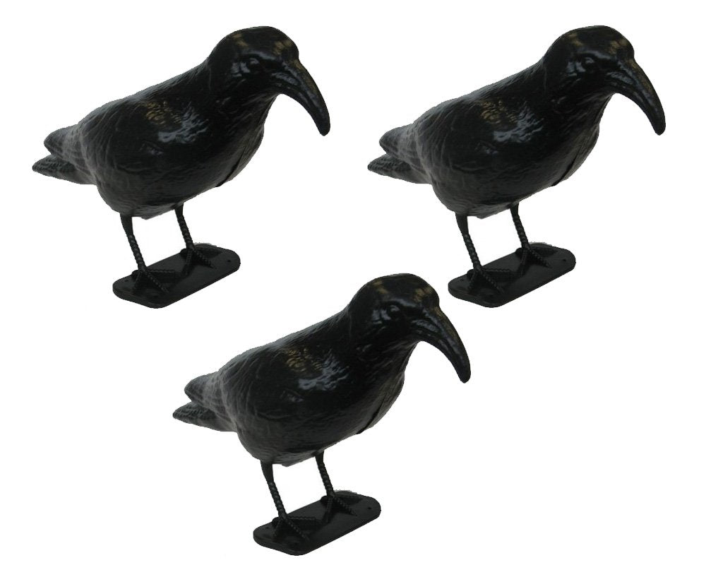 OFFERTA 3 STATUE SPAVENTAPASSERI CORVO 35CM