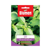 SEMI BASILICO LEMON BLUMEN