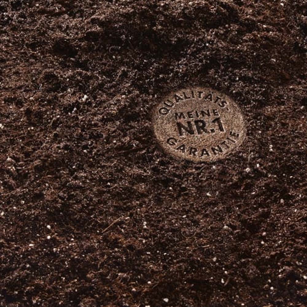 TERRICCIO PER CACTACEE 5LT