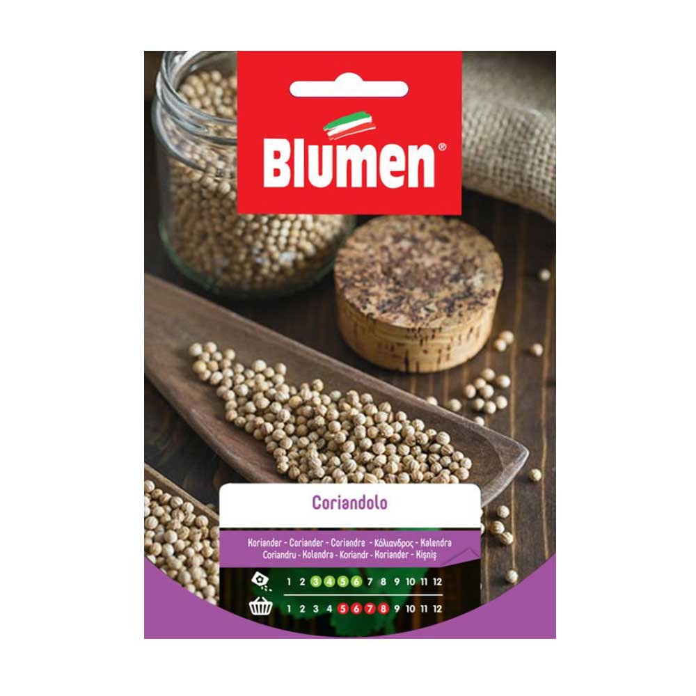 SEMI CORIANDOLO FOGLIE AROMATICHE BLUMEN
