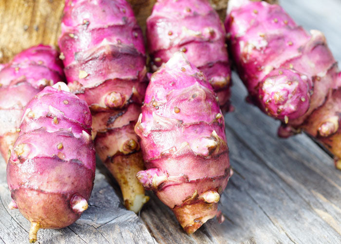 TOPINAMBUR VIOLET DE RENNES (CONFEZIONE DA 5 TUBERI)