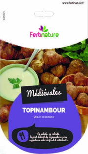 TOPINAMBOUR VIOLET DE RENNES (CONFEZIONE DA 5 TUBERI)