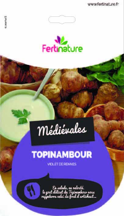TOPINAMBOUR VIOLET DE RENNES (CONFEZIONE DA 5 TUBERI)