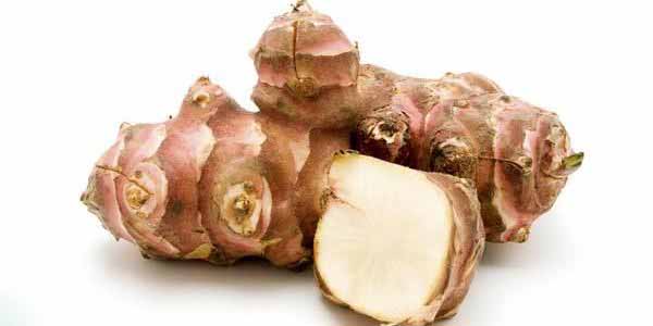 TOPINAMBOUR VIOLET DE RENNES (CONFEZIONE DA 5 TUBERI)