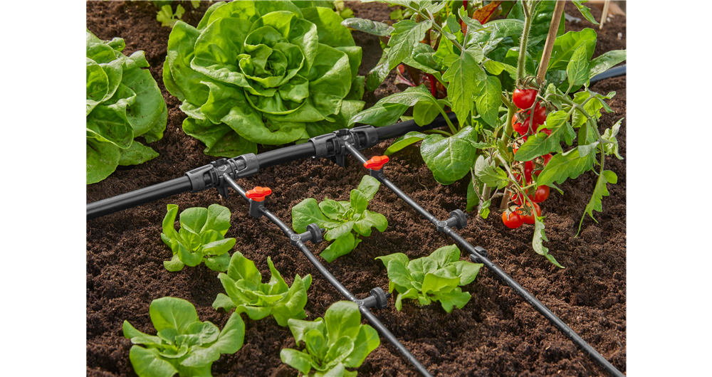 GOCCIOLATORE IN LINEA AUTOCOMPENSANTE