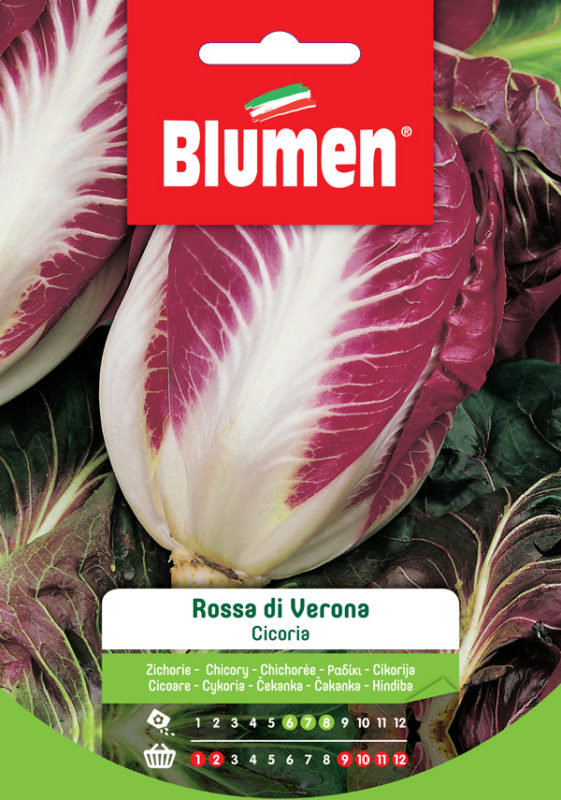 SEMI CICORIA ROSSA DI VERONA