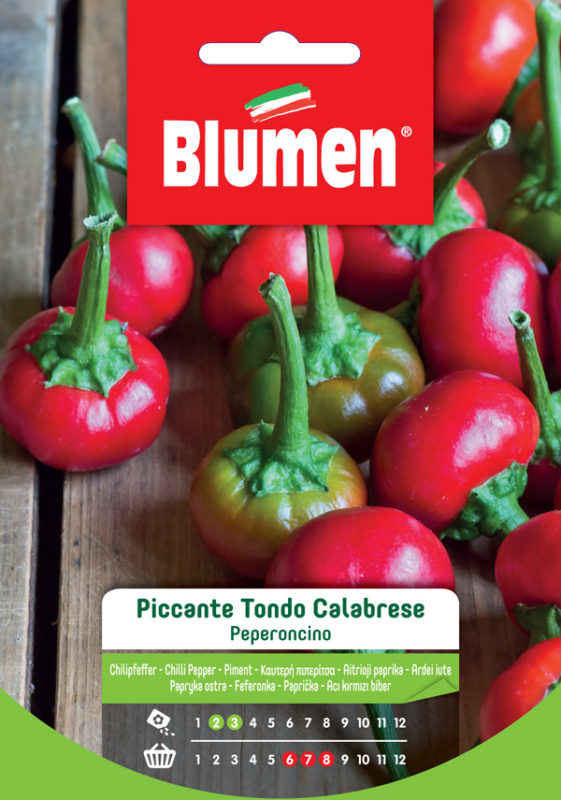 SEMI PEPERONCINO TONDO PICCANTE CALABRESE