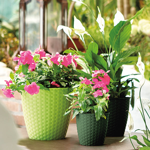 VASO NATURAL 19CM COLORE A SCELTA