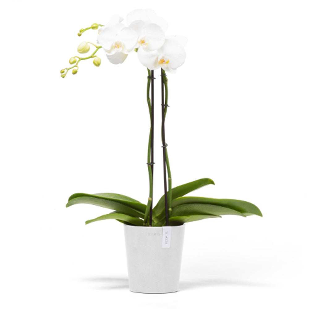 VASO DA TAVOLO ROTONDO MORINDA D14XH16CM BIANCO PURO