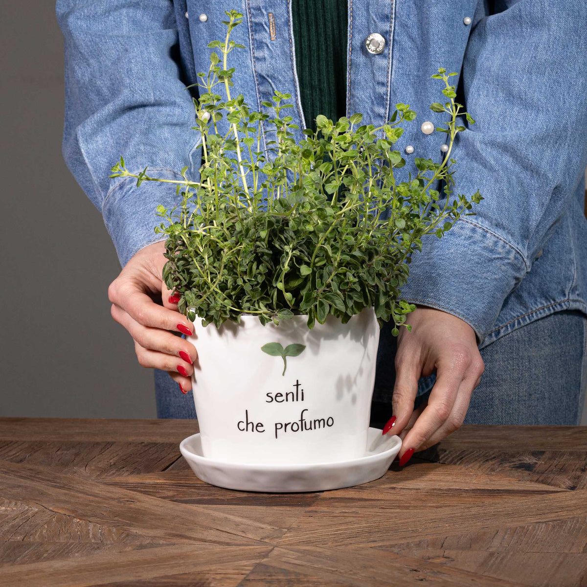 Vaso Senti che profumo con sottovaso D15cm x H12,5cm Bianco Simple Day