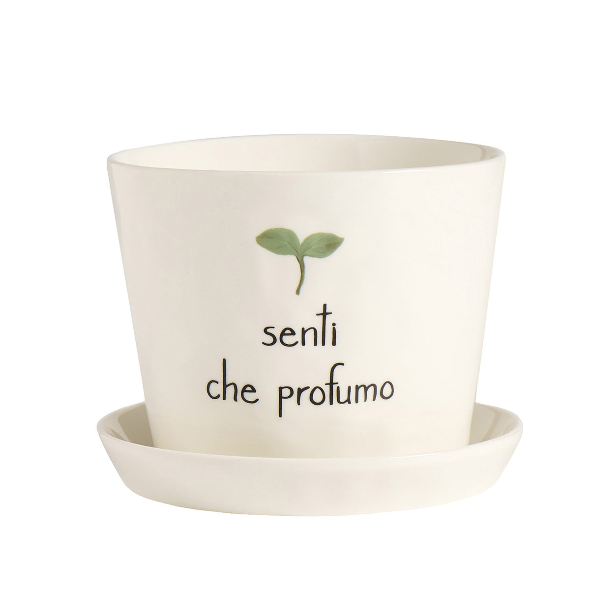 Vaso Senti che profumo con sottovaso D15cm x H12,5cm Bianco Simple Day