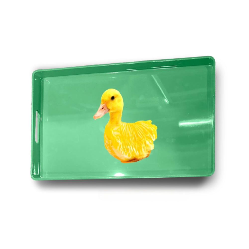 VASSOIO RETTANGOLARE 40 X 24 CM VERDE PAPERA