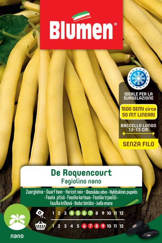 SEMI FAGIOLINO NANO ROCQUENCOURT