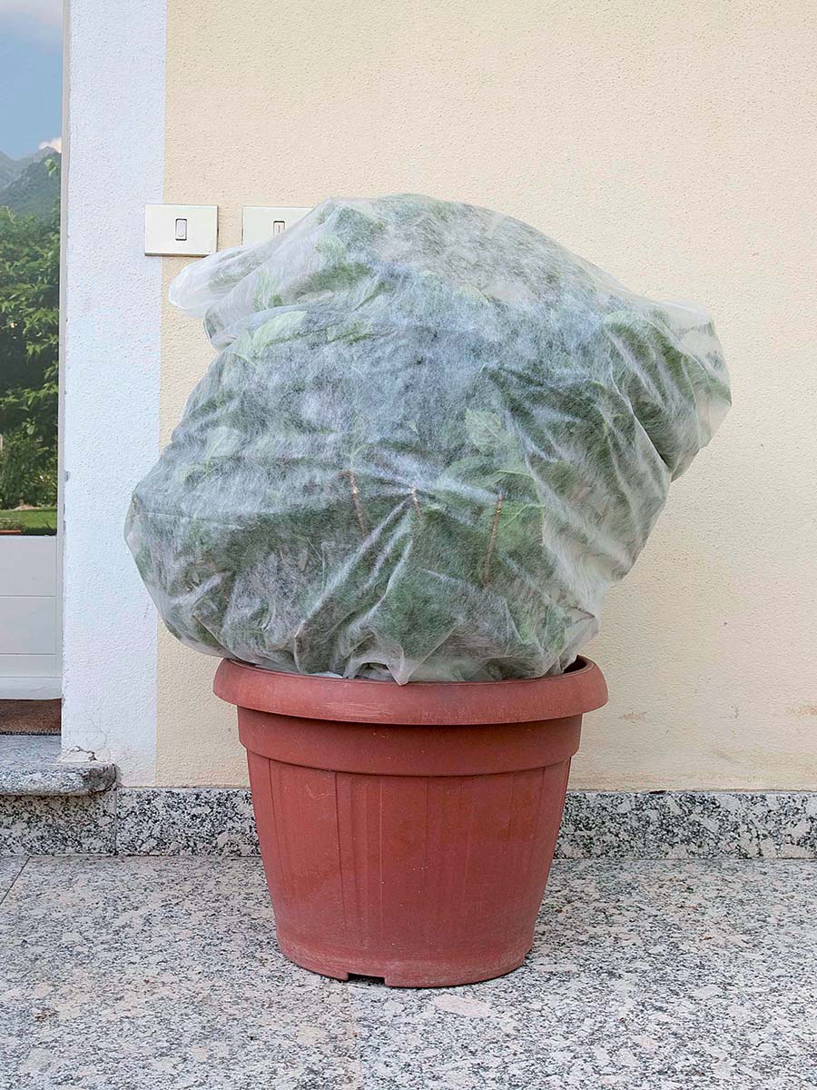 SACCOCLIMA PER PIANTE IN VASO  1,60x2 - Ø 1,00 3PZ