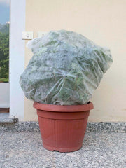 SACCOCLIMA PER PIANTE IN VASO 1x1,60M - Ø 0,60 4PZ