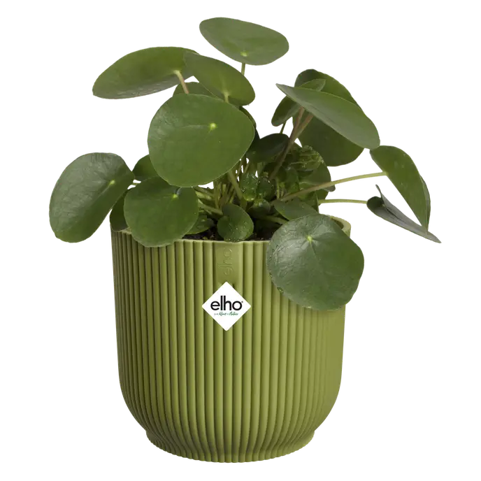 Vaso Vibes Fold Round D 18 x h 17 cm Verde felce ELHO