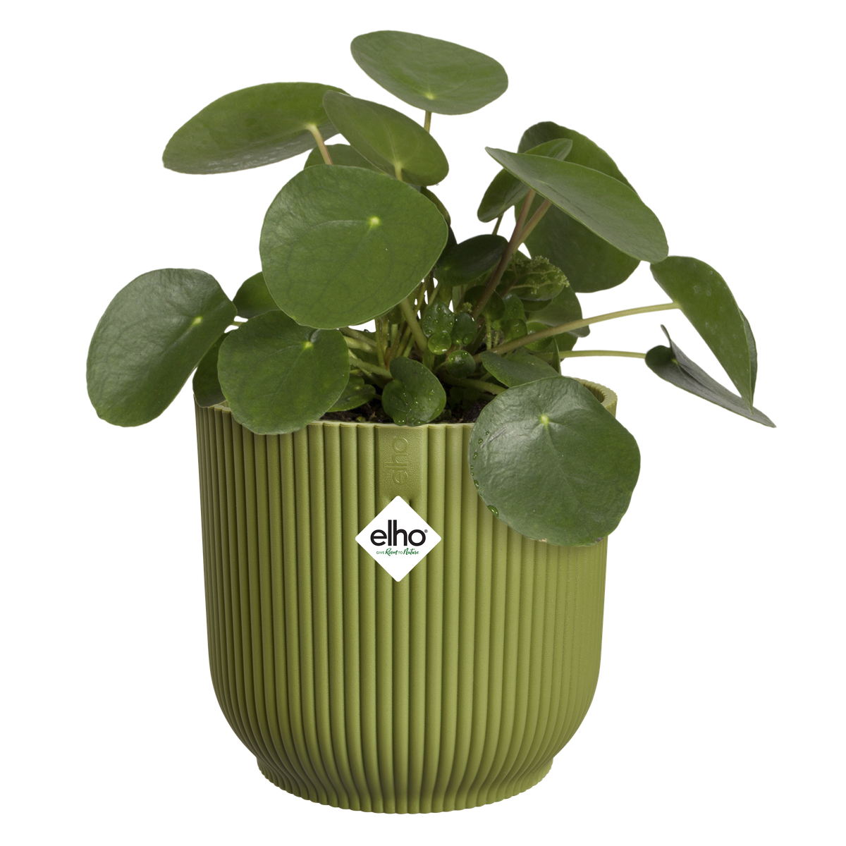 Vaso Vibes Fold Round D 16 x H 15 cm Verde Felce ELHO