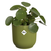 Vaso Vibes Fold Round D 16 x H 15 cm Verde Felce ELHO