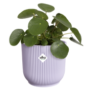Vaso Vibes Fold Round D16 x H15 cm Lilla Tenue ELHO