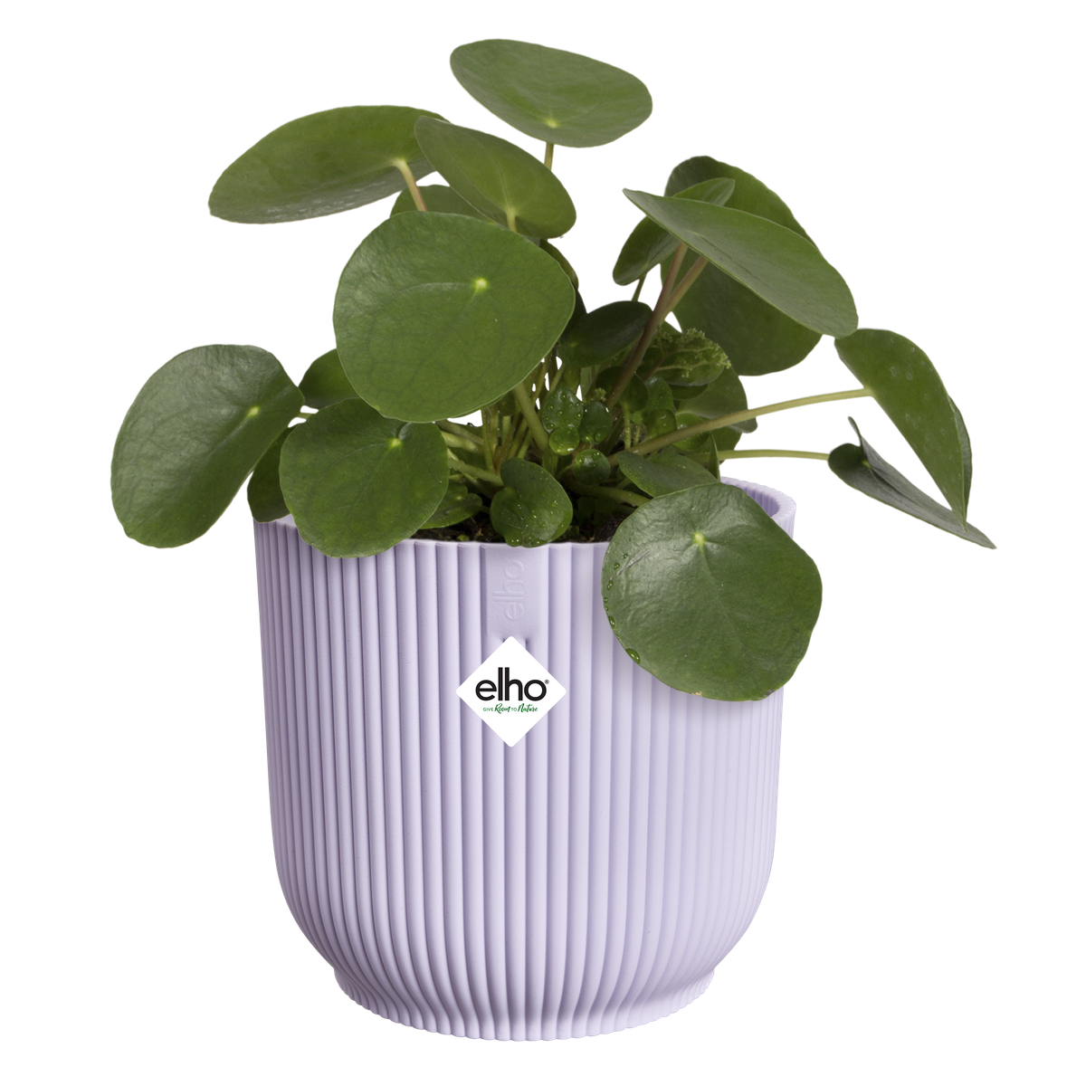 Vaso Vibes Fold Round D 18 x H 17 cm Lilla Tenue ELHO