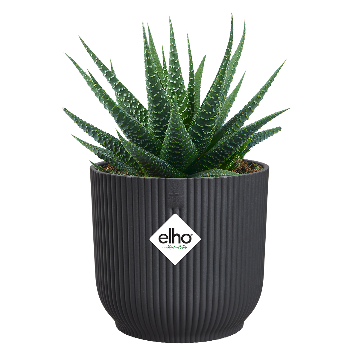Vaso Vibes Fold Round Mini D 11 x H 11 cm Antracite ELHO