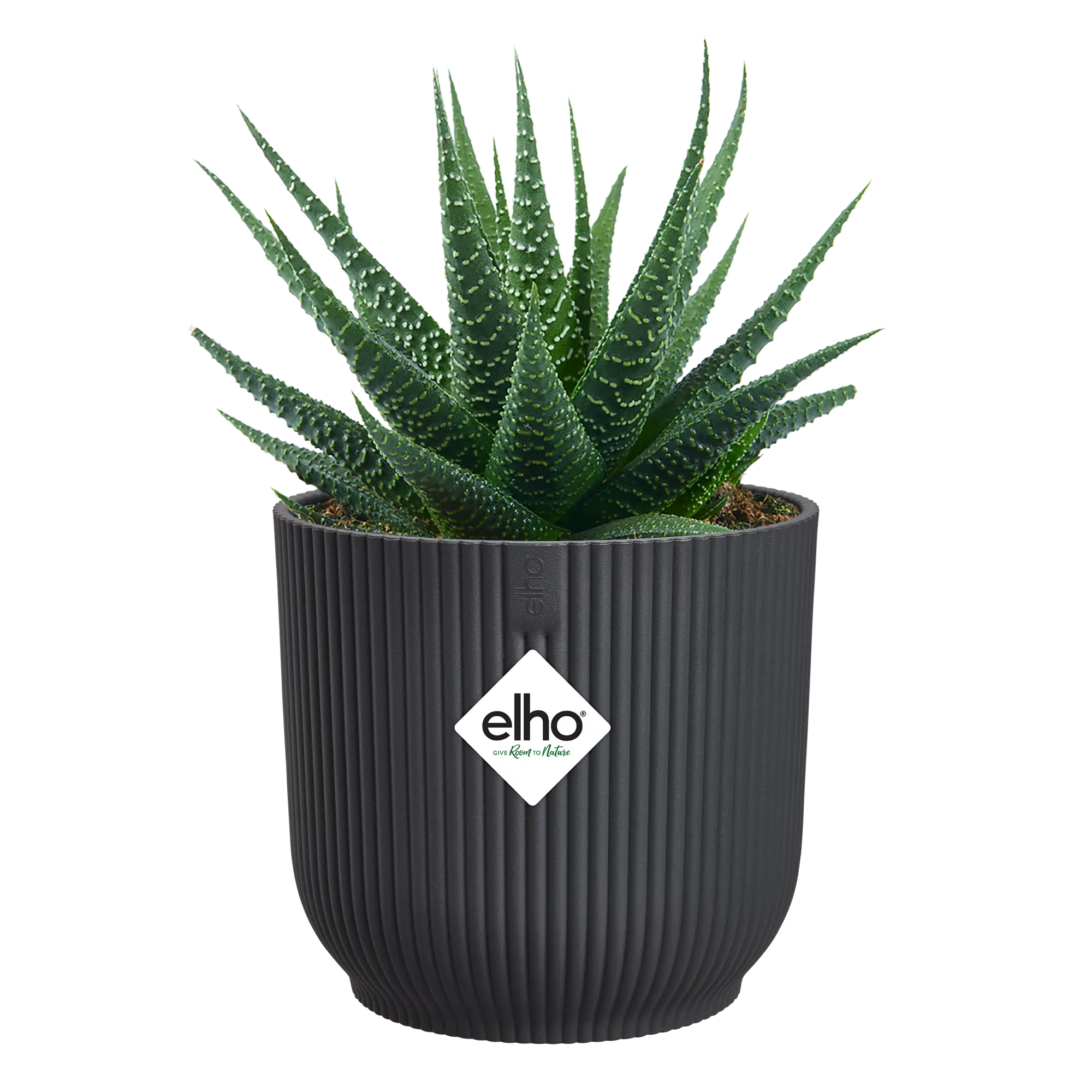 Vaso Vibes Fold Round Mini D7 x H7 cm Antracite ELHO