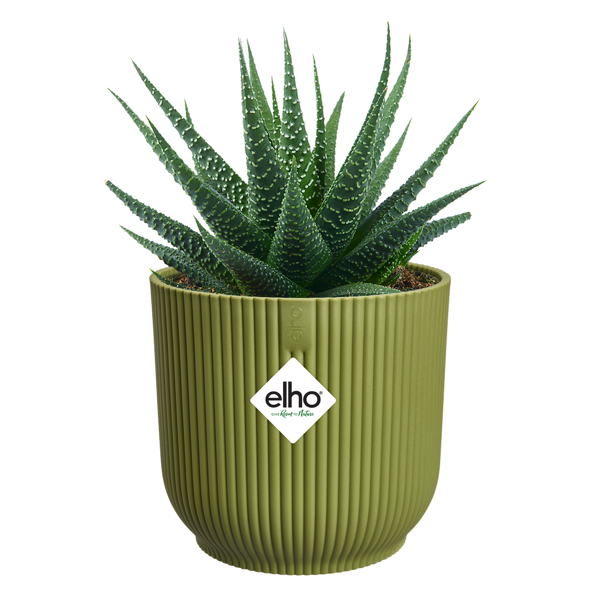 Vaso Vibes Fold Round Mini D 11cm H 11cm Verde felce ELHO