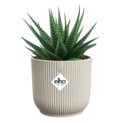 Vaso Vibes Fold Round Mini D 9 x H 9 cm Bianco Lino ELHO