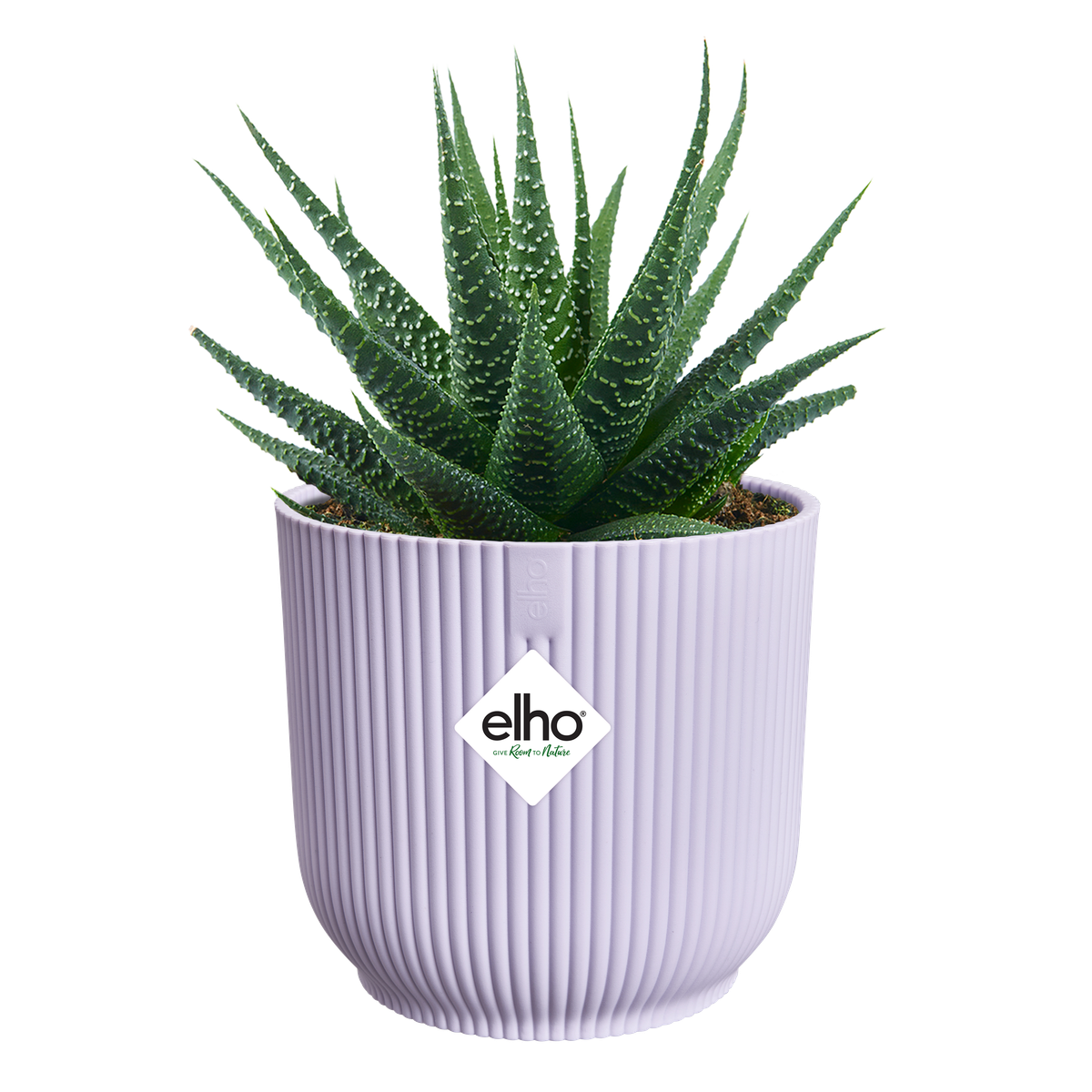 Vaso Vibes Fold Round Mini D 7 x h 7 cm Lilla Tenue ELHO