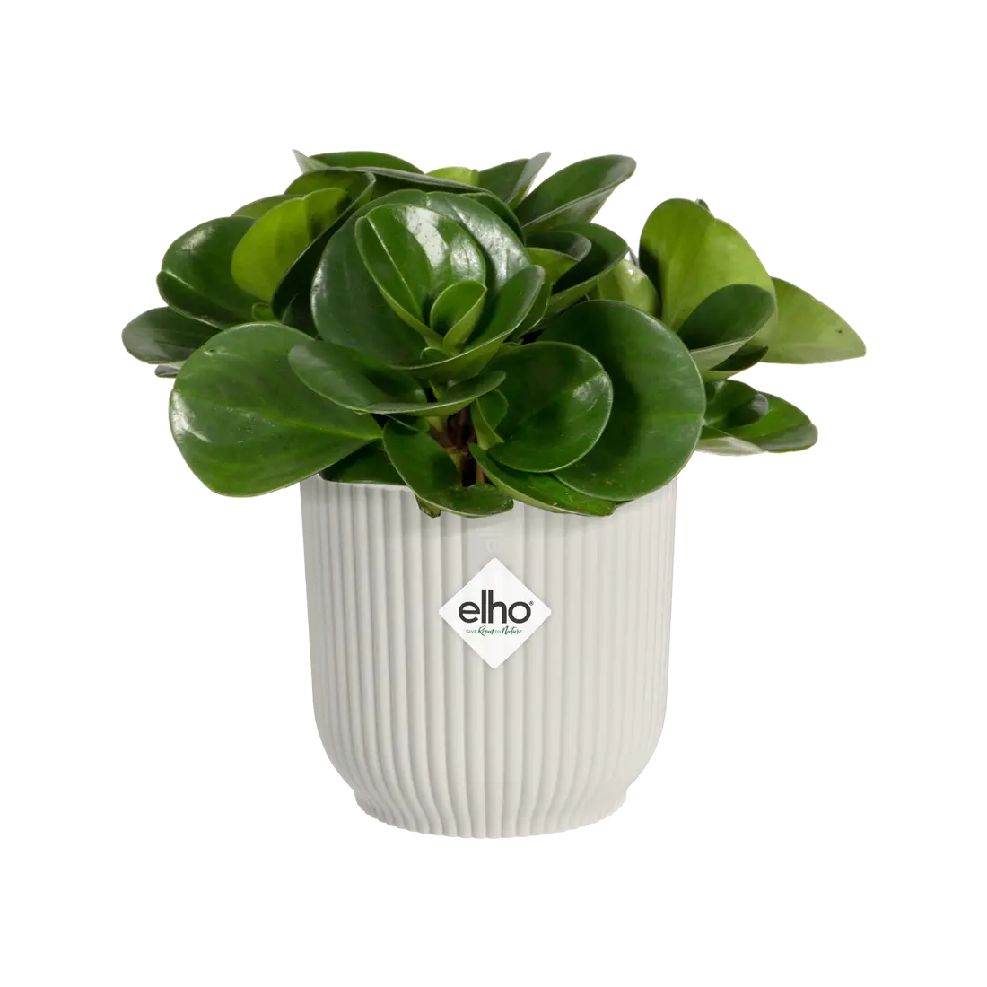VASO VIBES FOLD ROUND MINI 7CM COLORE A SCELTA