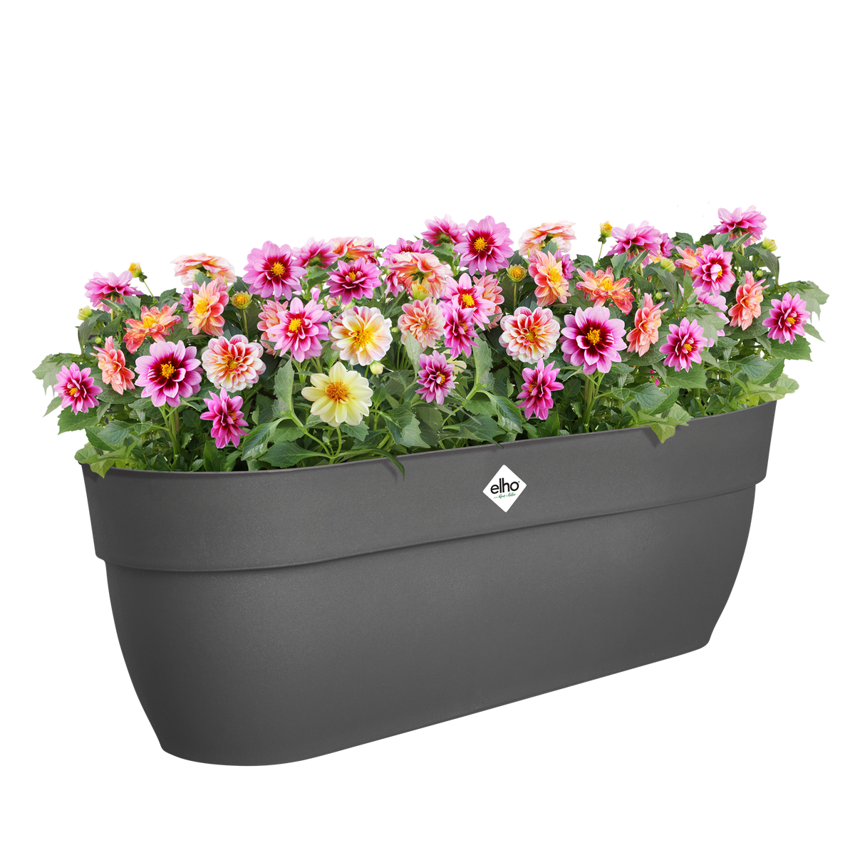 Vaso Vibia Campana Easy Hanger XL W 58 x H 27 x D 24 cm Antracite ELHO