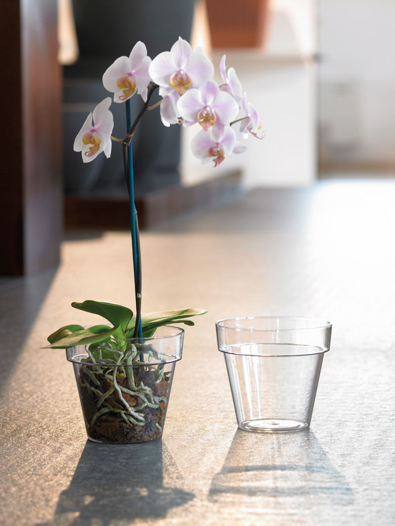 OFFERTA 4 VASI PORTAVASO PER ORCHIDEE MEDITERRANEO TRASPARENTE 12CM