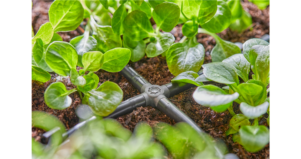 RACCORDO A 4 VIE 4,6 MM (3/16)