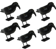 OFFERTA 6 STATUE SPAVENTAPASSERI CORVO 35CM