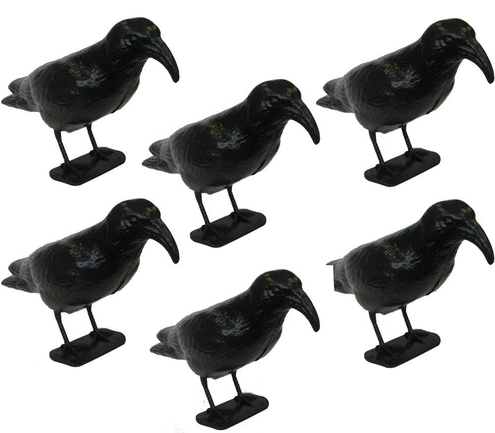 OFFERTA 6 STATUE SPAVENTAPASSERI CORVO 35CM