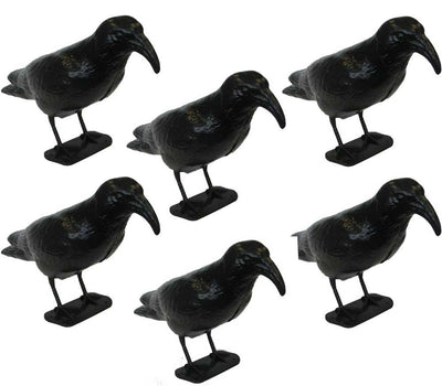 OFFERTA 6 STATUE SPAVENTAPASSERI CORVO 35CM