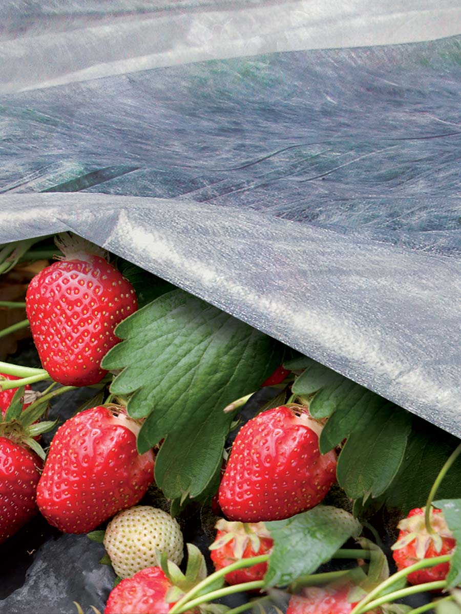 ORTOCLIMA TESSUTO NON TESSUTO PER ORTO E GIARDINO MT 1,60X10 17GR/MQ