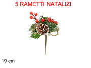 OFFERTA 5 RAMETTI CON BACCHE ROSSE E PIGNE