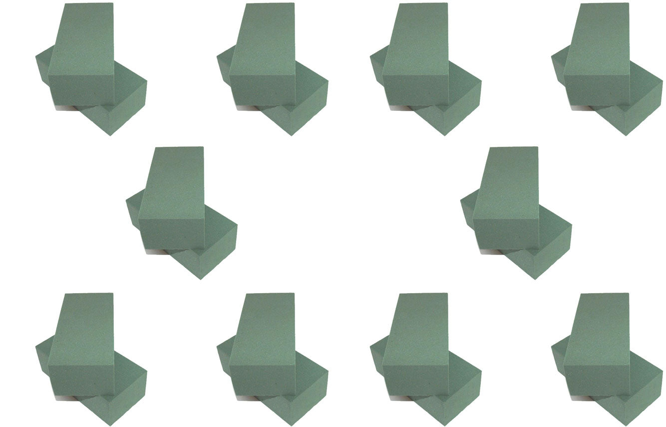 20 SPUGNE PER FIORI RECISI FRESCHI