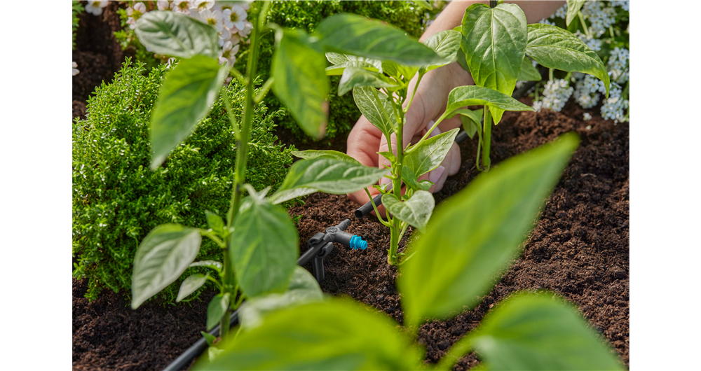 GOCCIOLATORE IN LINEA