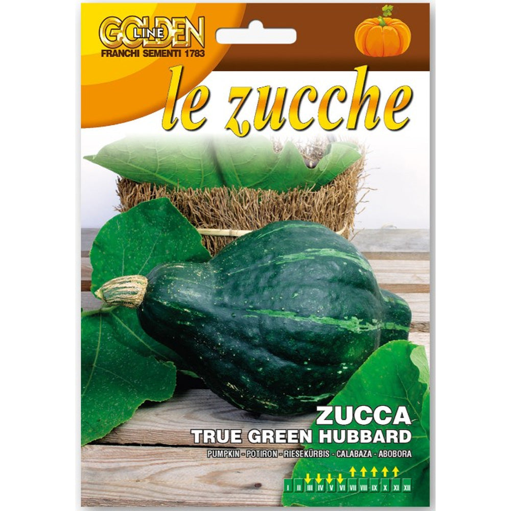 SEMI DI ZUCCA TRUE GREEN HUBBARD