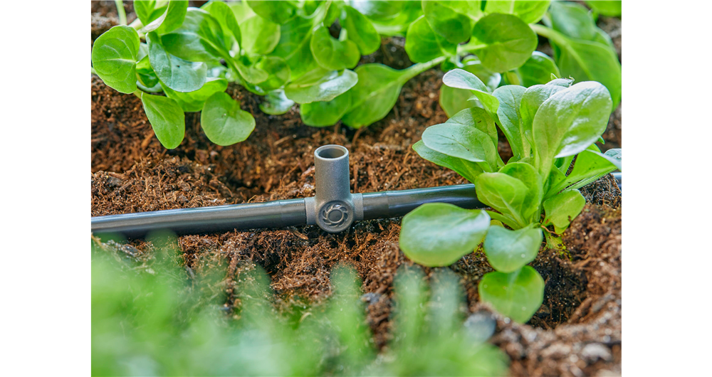 RACCORDO A T PER MICROSPRUZZO DA 4.6 MM (3/16)