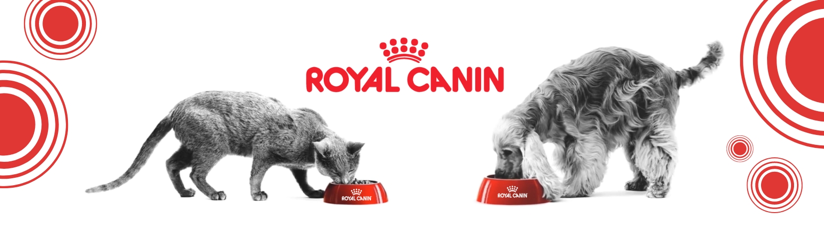 ROYAL CANIN