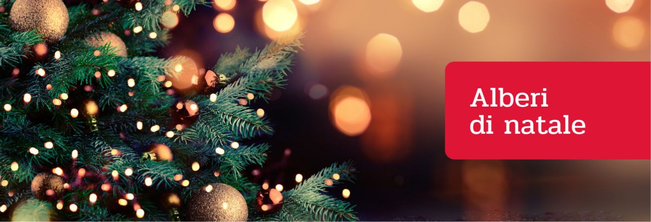 Acquista Alberi di Natale su Peragashop