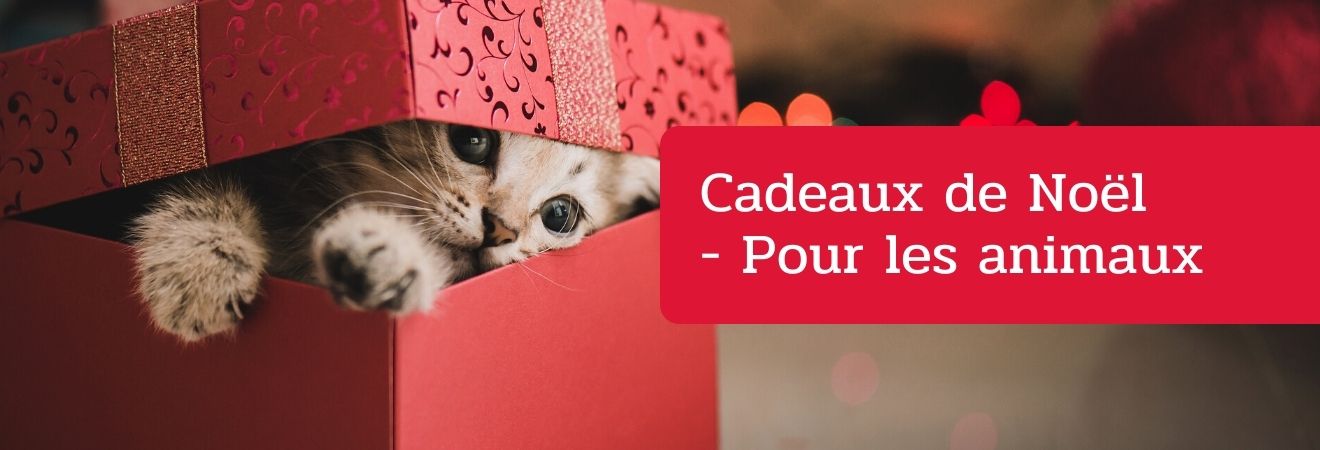 Cadeaux de Noël - Pour les animaux